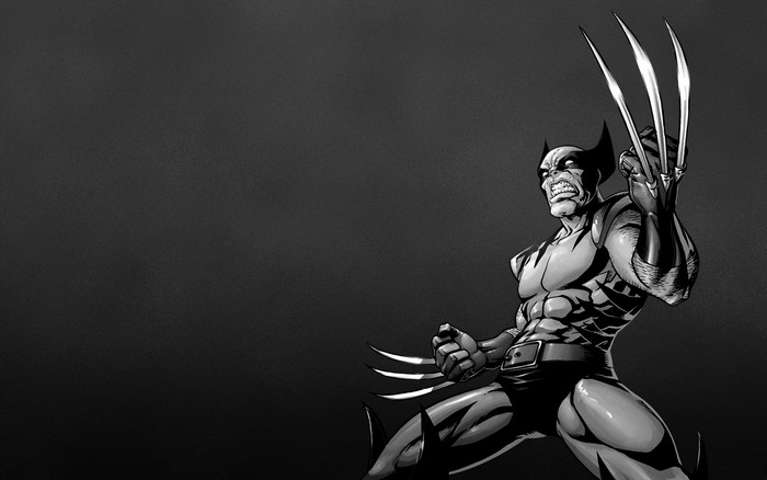 Wolverine from Marvel Comics