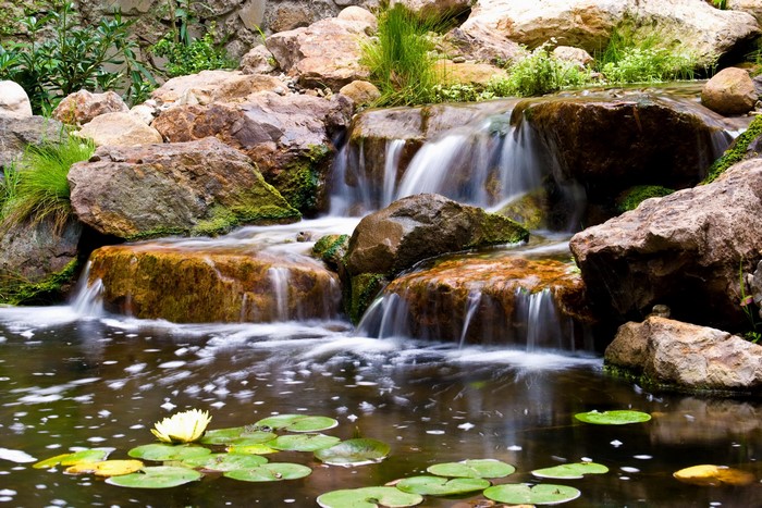 Small waterfall cascading over rocks into a pond with lily pads