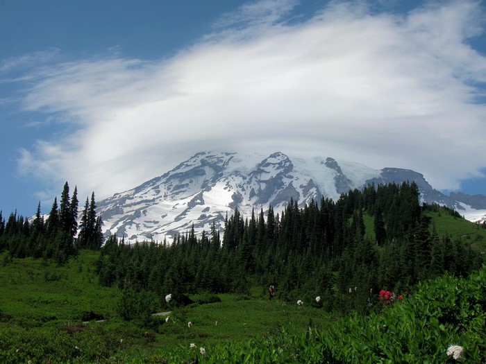 Washington Parks Mountains USA Mount Rainier Park