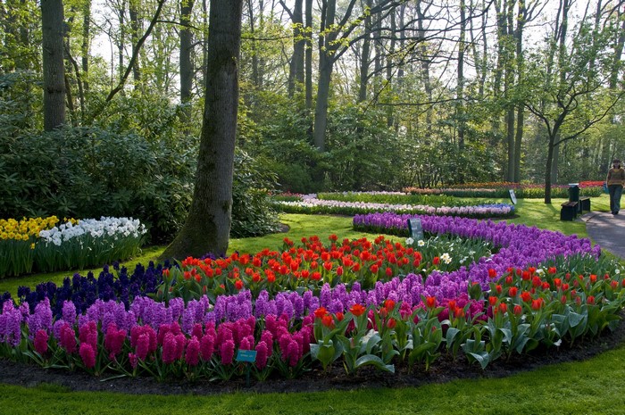 Keukenhof Gardens in Lisse, Netherlands