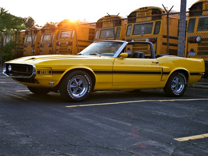 1969 Shelby GT350 Convertible in front of school buses