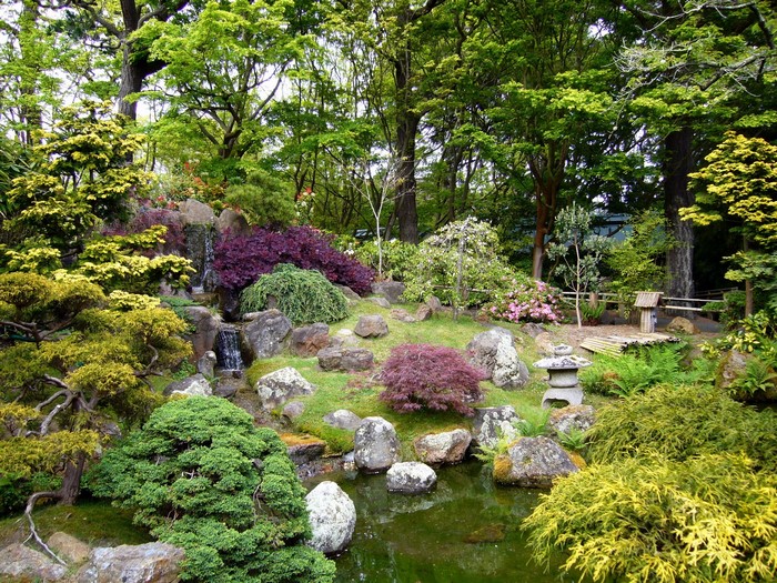 Japanese Garden with Waterfall and Pond