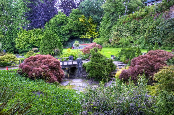 Beautiful garden with a bridge and diverse trees