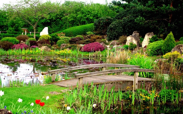 Japanese garden with a pond and wooden bridge