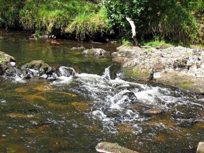 River Teign flowing over rocks