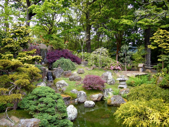 Japanese garden with waterfall and pond