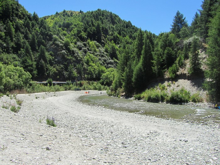 River flowing through a forested valley in New Zealand