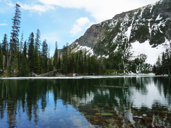 Lake with snow-capped mountains and pine trees