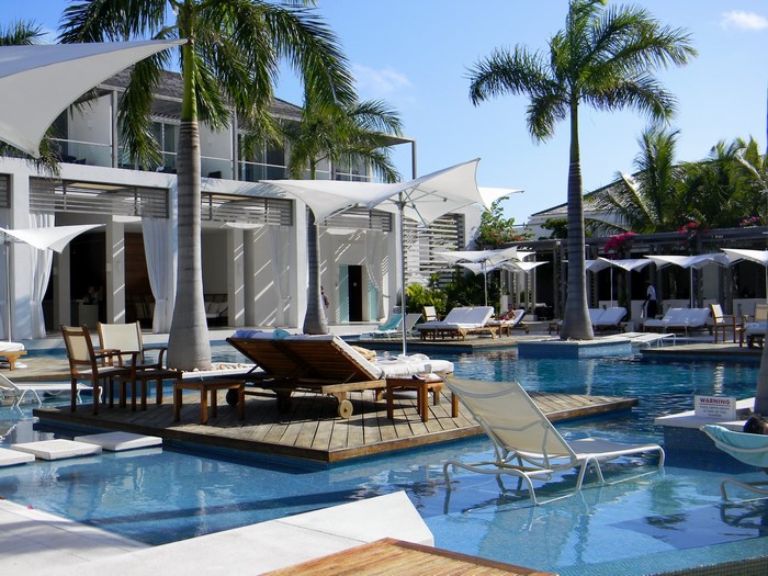 Resort pool with palm trees and lounge chairs