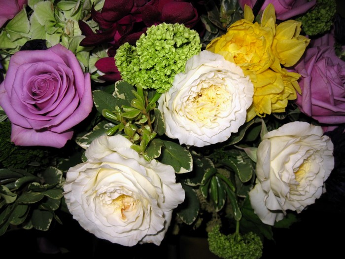 Roses