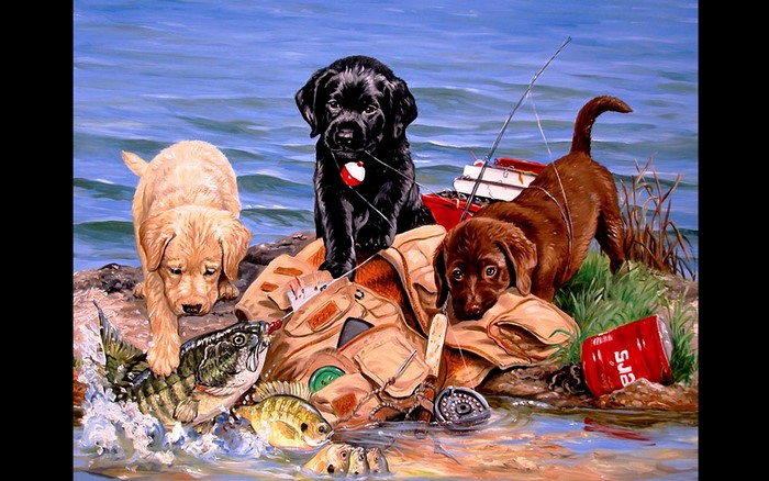 Three Labrador puppies by a lake with fishing gear