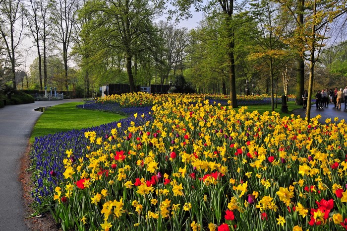 Keukenhof Gardens in Lisse, Netherlands