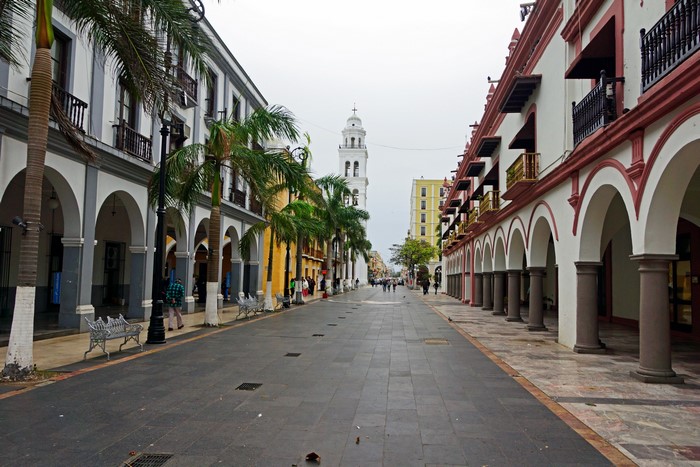 Street with colonial buildings and palm trees in Mexico