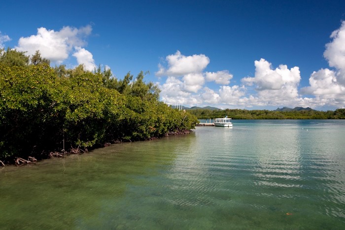 Mangrove trees and a boat on a tropical bay