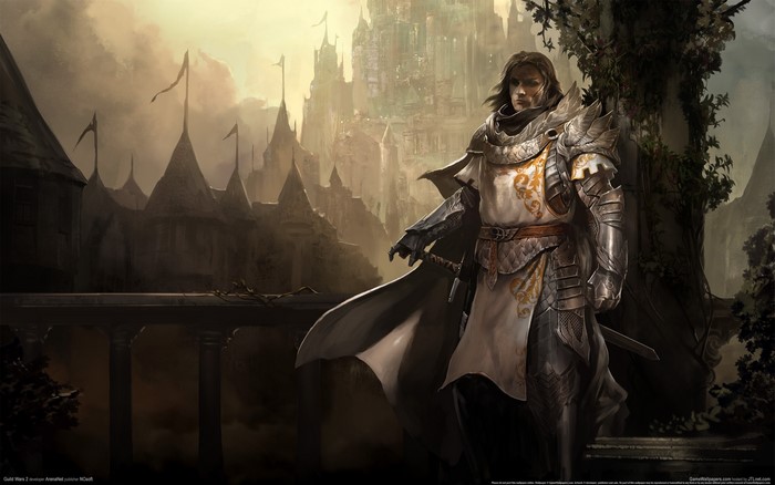 Guild Wars 2 Warrior in Armor