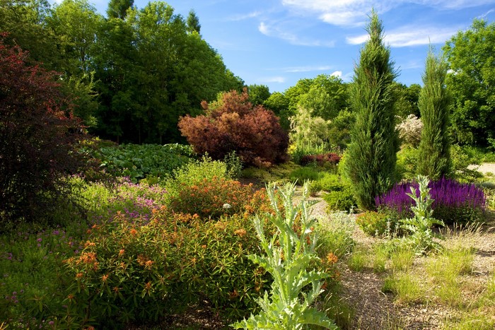 A vibrant garden with diverse plants and trees