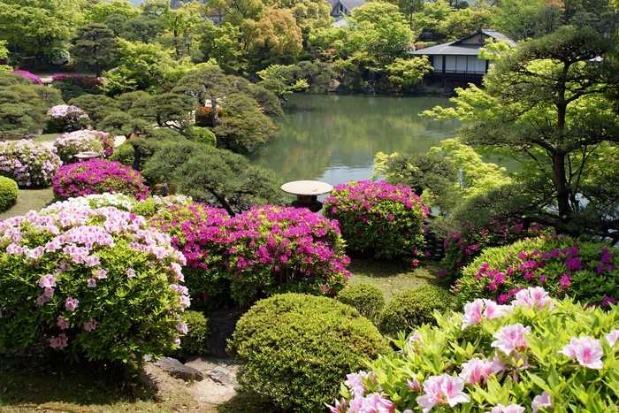 Japanese Garden with Pond and Azaleas in Kobe, Japan