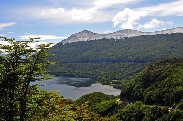 Lake Fagnano, Argentina with Mountains and Trees