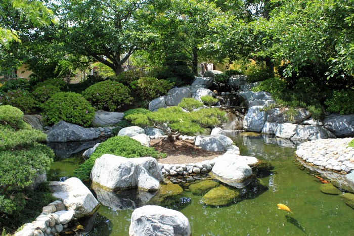 Japanese Garden with Koi Pond and Waterfall