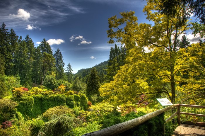 Beautiful Gardens with Trees and Blue Sky