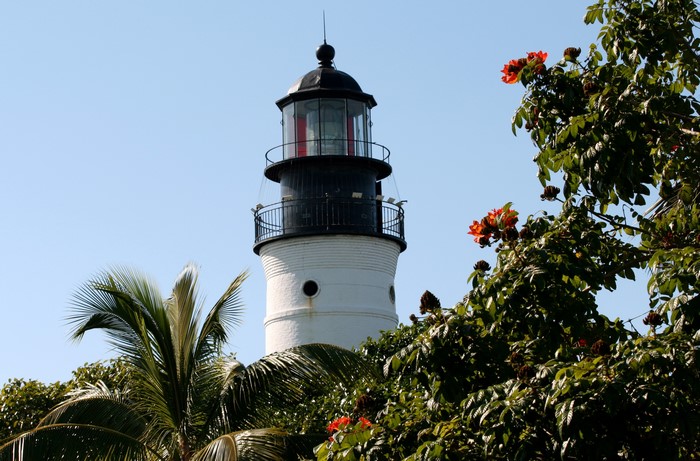White lighthouse with black top surrounded by trees and palm fronds