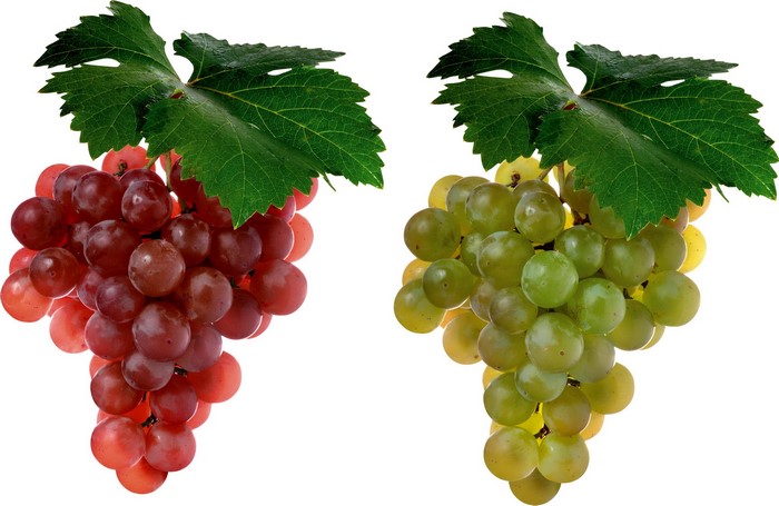 Red and green grapes with leaves