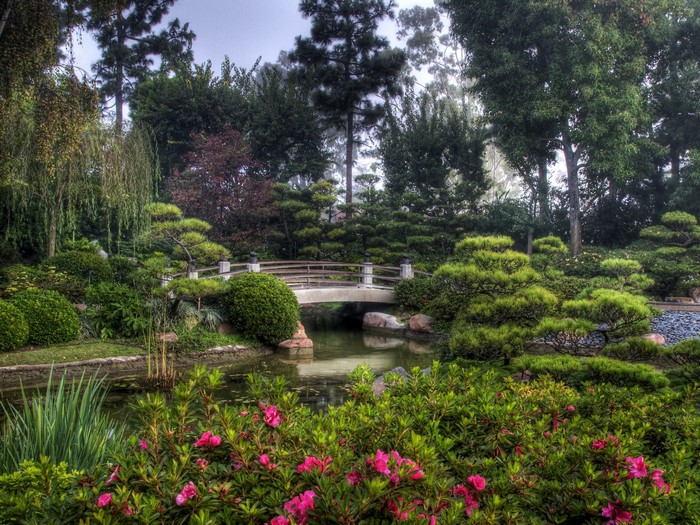 Japanese Garden with Bridge and Pond in California
