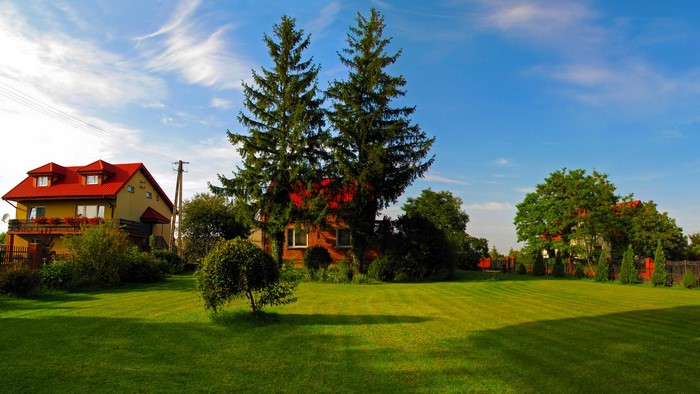 Houses and trees in Sochaczew, Poland