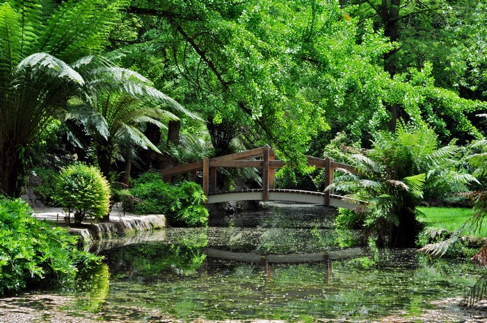 Wooden bridge over a pond in a lush garden