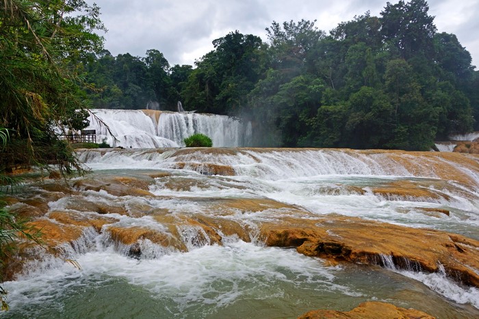 Cascading waterfalls in a lush forest