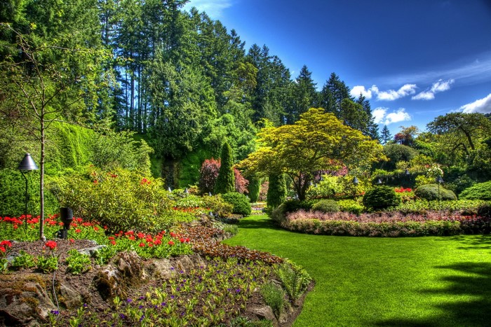 Beautiful manicured garden with flowers and trees