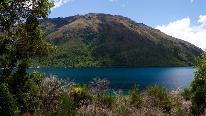 Lake and Mountain Landscape in New Zealand