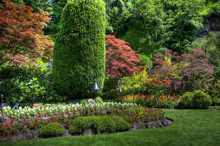 Beautiful garden with colorful flowers and trees