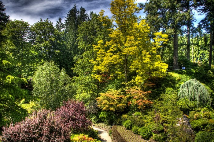 A lush garden with a winding path