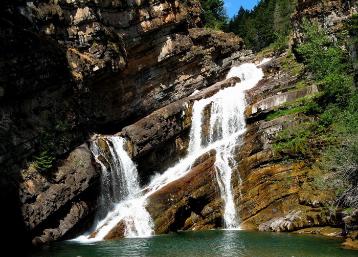 Cameron Falls Glacier National Park