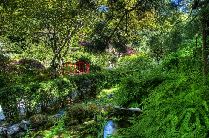 Japanese Garden with Red Bridge and Water Feature
