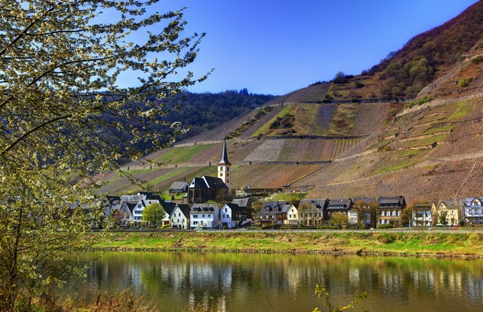 Village with church on Moselle river in Germany