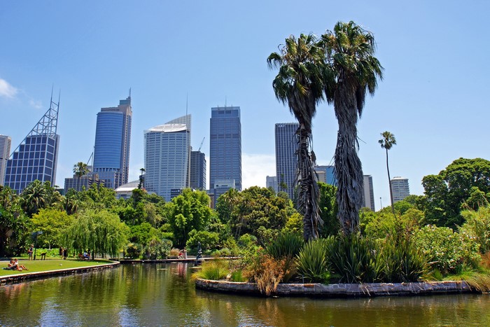 Sydney Botanic Garden with city skyline