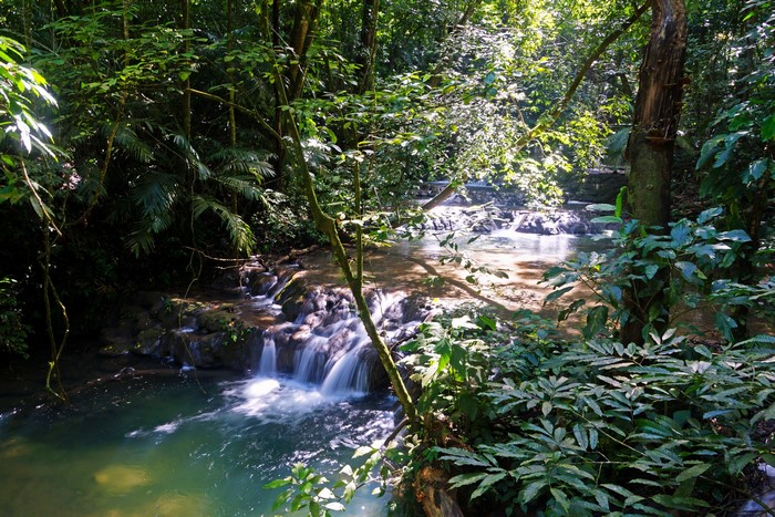 Waterfalls on the Michol River in a Forest