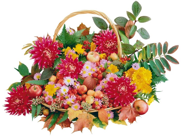Autumn harvest basket with flowers and apples