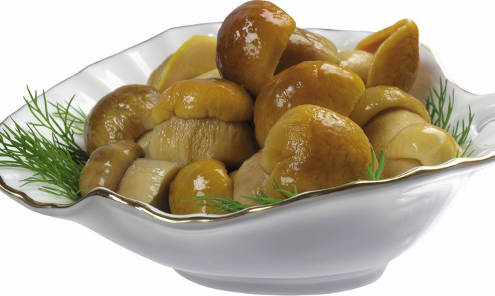 Marinated mushrooms in a decorative bowl with dill