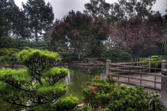 Earl Burns Miller Japanese Garden in California