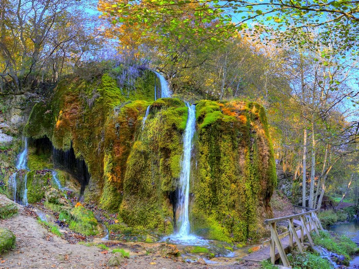 Moss-covered waterfall in a forest with a wooden bridge