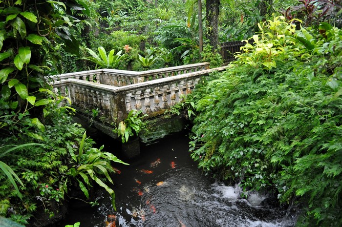 A stone bridge over a stream with koi fish in a park