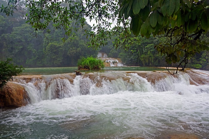 Cascading waterfalls in a lush jungle