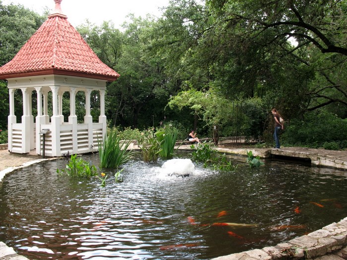 Gazebo and pond with koi fish in a garden
