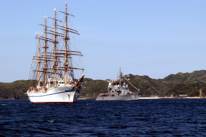 Tall Ship and Destroyer at Sea