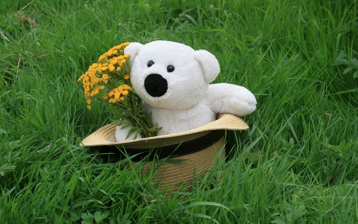 White teddy bear in a hat with flowers