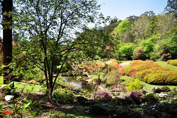 Beautiful garden with colorful flowers and trees