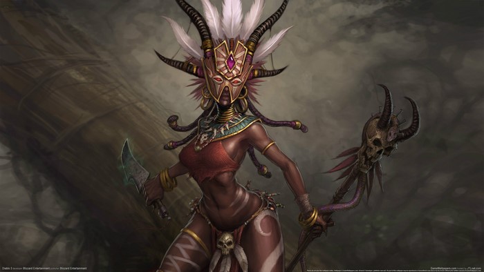 Witch Doctor from Diablo III